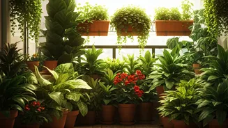 Fresh Plants, Fresh Balcony Energy