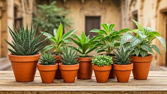 Winter's Embrace: 8 Indian Plants with Enduring Heritage