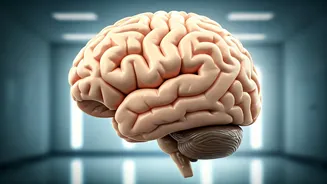 Mind-Bending Medical Mysteries: When Thoughts Turn Into Illness