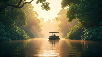 Book River Safari Boats In Kabini For Epic Animal Sightings
