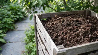 How kitchen waste becomes black gold