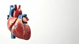 Unlocking Fat Loss: Beyond 'Skinny' with Expert Insights