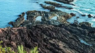 Why Off-Season Goa Appeals To Nature Lovers And Slow Travellers