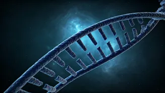 Unlocking the Secrets of Life: A Journey Through the World of Genetics