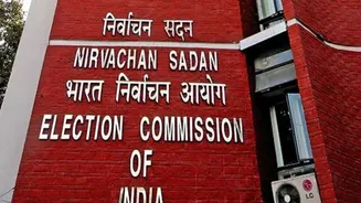 Election Commission: মুর্শিদাবাদে ৯ লক্ষ দম্পতির ঘরে আছে ৬ সন্তান, লজিক্যাল ডিসক্রিপেন্সিতে কোথায় কত অসঙ্গতি?