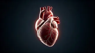 Related Stories banner