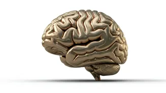 Boost Your Brainpower with These Simple Habits