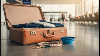 The Rise Of Pet Travel Is Exposing Gaps Between Marketing And Reality
