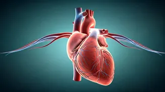 Related Stories banner