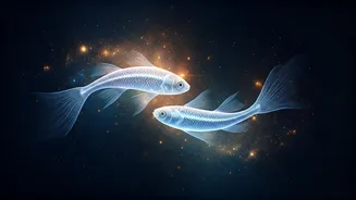 Pisces Love, Career & Finance: Your Harmonious Horoscope for March 19, 2026