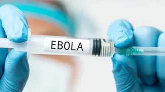 Ebola cases in Congo near 300 as more joyful stories from recovered medical workers emerge