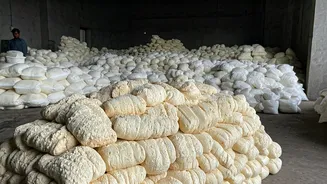 Hyderabad Bust: Over 3,900 kg of Unhygienic Paneer and Dairy Products Seized