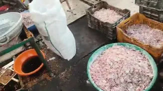 Food safety officials seize 450 kg cooking oil, 1,000 kg onions during raid in Hyderabad
