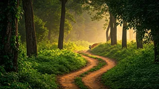 Young Nature Enthusiasts Rush To Central Indian Wildlife Reserves