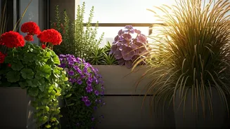 Summer-Proof Plants Are Making Balconies Look Lush