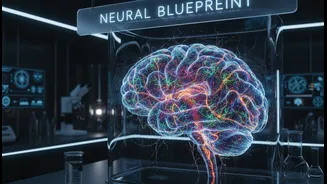 IIT Madras Maps The Human Brainstem Cell By Cell With ANCHOR