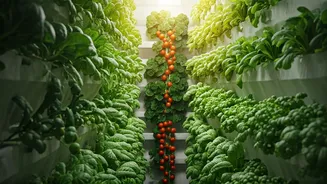 Hydroponic Tech Hacks For Achieving Massive Harvests In Apartments