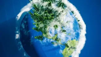 Climate Researchers Explore Rainfall Shifts And Their Impact On India's Forests