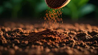 Coffee Grounds for Your Garden: Expert Insights on Soil Improvement