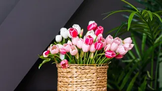 Decor Inspiration: Using Natural Woven Baskets To Elevate Eco-Friendly Modern Home Style