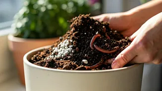Urban Gardening Guides Teach Genius Soil Mixing Formulations For Beginners