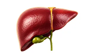 Avoid These Daily Habits For Liver Health