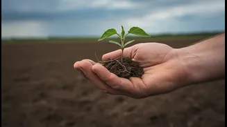 Farmers Need Weather Information That Arrives Before Key Sowing Decisions