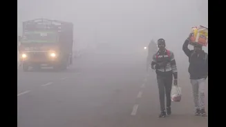 Delhi Shivers At 11°C, IMD Warns Of Further Temperature Drop