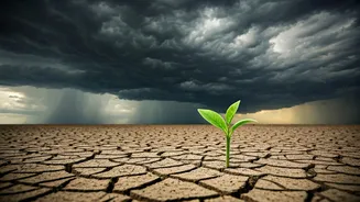 Weather Experts Watching July Rain Closely