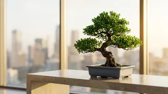 Why Recurring Deposits Lose To Index Fund SIPs In Driving Long Term Wealth Growth