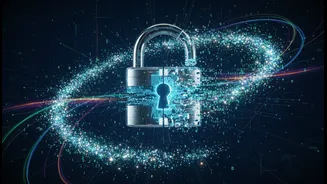 Fake Portals Can Collect Identity Data Even when Payment Fails