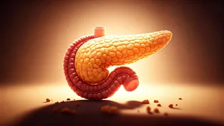 Post-Breakfast Blood Sugar Dips: Understanding the Morning Metabolism Mystery