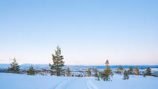 Experience Pure Nordic Tranquility Along These Beautiful Long-Distance Trails Across Sweden