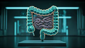 The Gut Health Trend Is Getting More Sensible