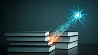 Students Need A Practical AI Learning Roadmap