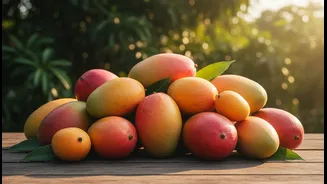 Across India: Mango Festivals are showcasing how fruit diversity supports farming resilience