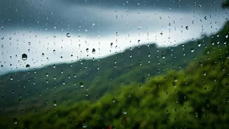 Rainy Konkan Windows Are The Travel Mood Now