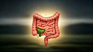Gut Health Should Lead Monsoon Food Choices