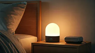 Gentle Mornings Ahead: Wake-Up Light Offers Natural Rhythms and Significant Savings