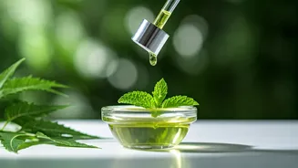 Beat the Heat: Your Ultimate DIY Ayurvedic Hair Oil for Summer