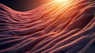 Understanding Diabetes: A 10-Year Journey of Bodily Changes