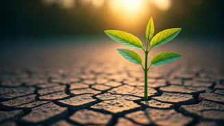 Nurturing Little Dreamers: Swami Vivekananda's Wisdom for Parents