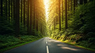 Green Roads Are Driving Weekend Travel FOMO