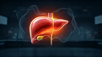 Young Adults' Rising Liver Risk: Expert Warns of Silent Dangers