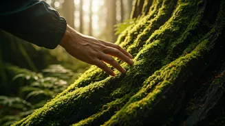 Nature Travel Gets More Immersive