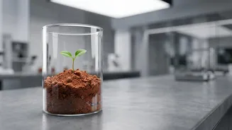Students Are Testing A Question Future Mars Missions Will Need To Answer