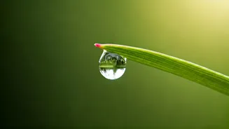 5 Quick Exercises to Calm Overwhelm and Regulate Your Emotions Instantly