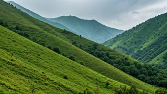 North India's Hill Stations Glow After Fresh Rain
