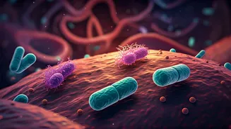 Gut Health: Unlocking Early Parkinson's Disease Detection and Prevention Clues