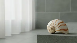 A Possible Sleep Timer Appears in the Mouse Brain
